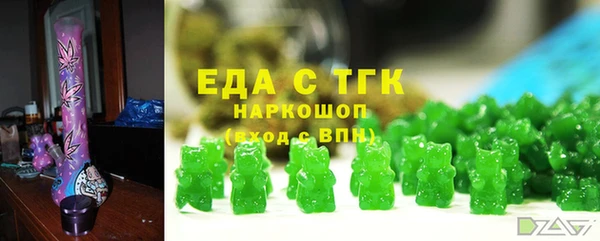 тгк Абаза