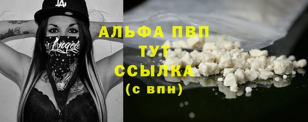 тгк Абаза