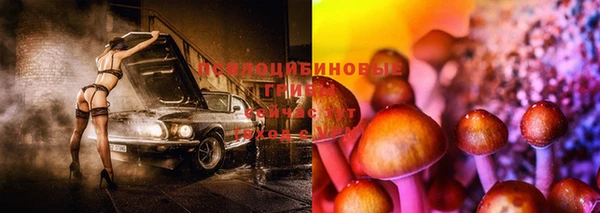 таблы Абинск